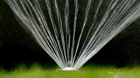 LADWP eases watering restrictions after rainy winter season